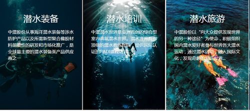 潛水公司加速趕頂，終須一別 從溫州幫現象看國內旅游業務轉型